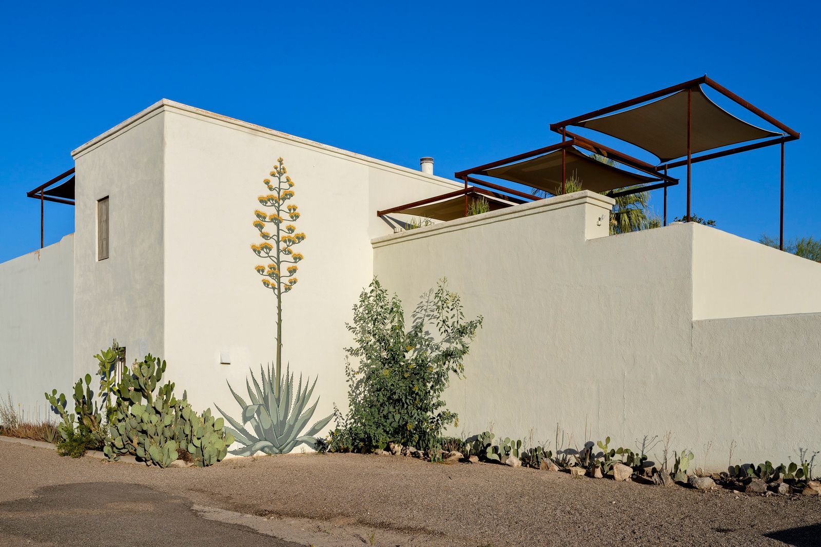 The Arizona compound embraces the desert with canopied patios, an outdoor shower, and saguaro-lined ceilings.